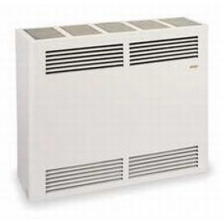 Cozy Direct Vent Wall Furnace CDV256C (Liquid Propane)